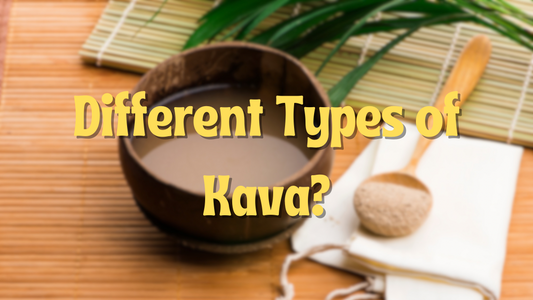 Types of Kava Explained: Why Noble Kava Is the Gold Standard