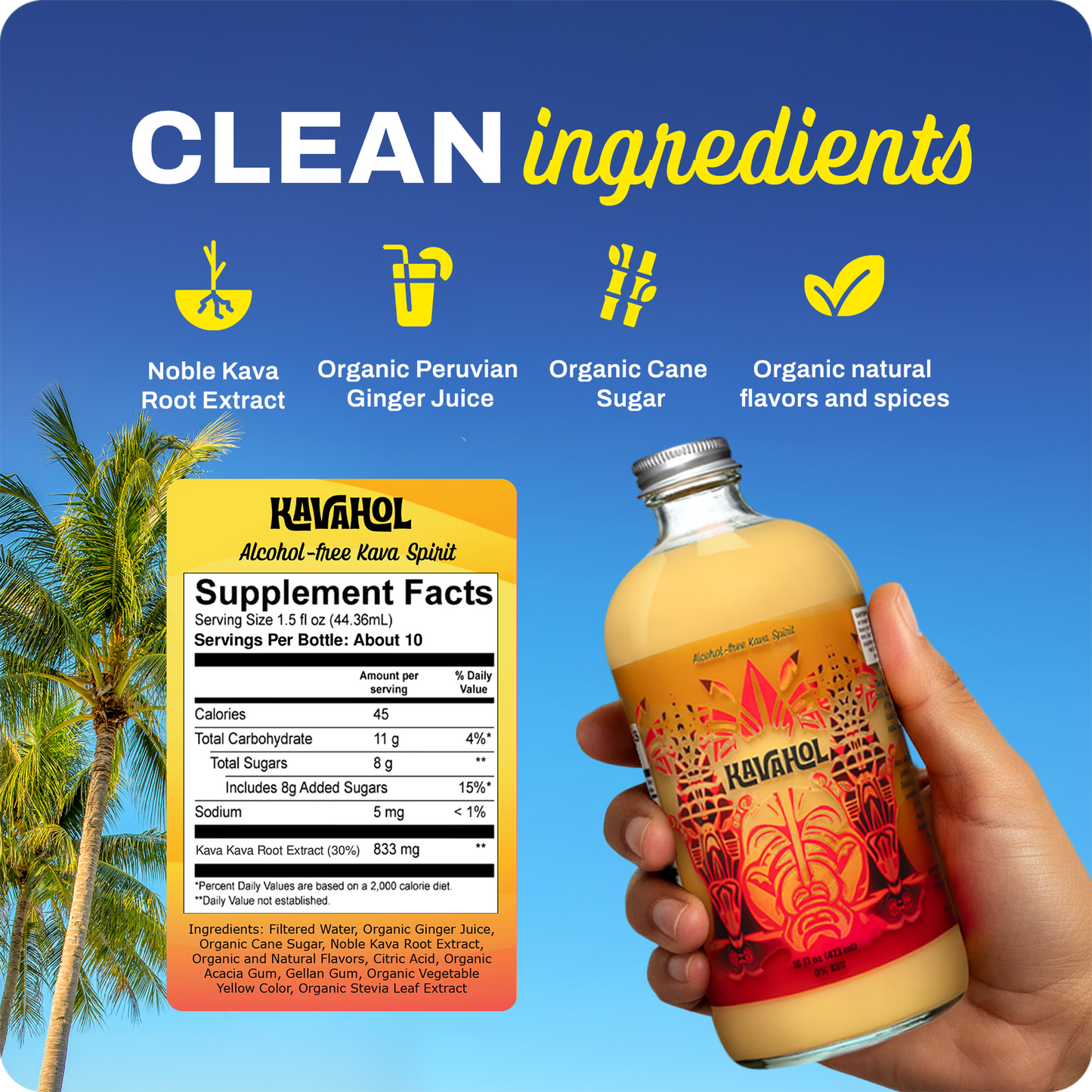 ️️Kavahol - Award-winning Kava Spirit, Fiery Ginger Flavor, 10 Servings (0.0% ABV)