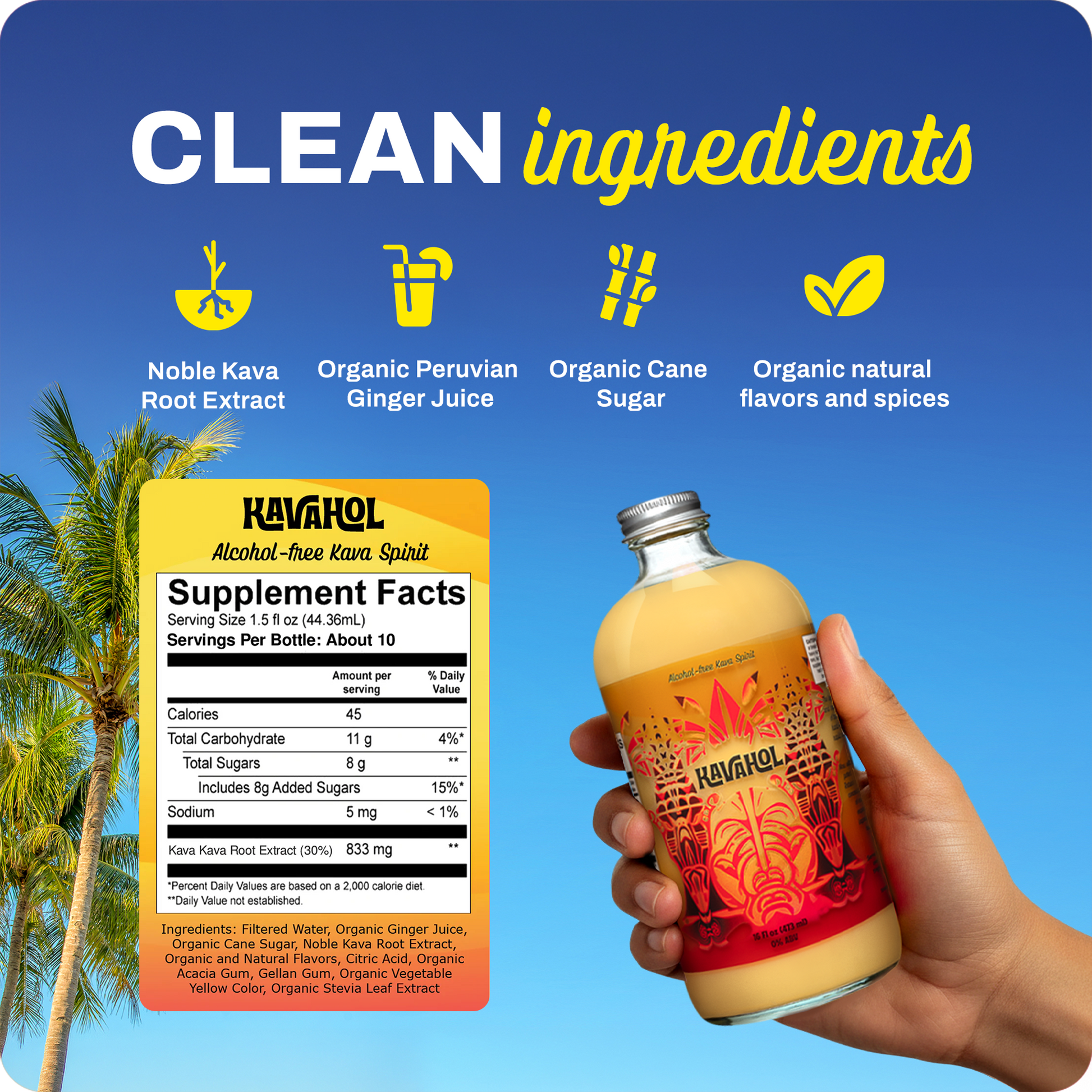 ️️Kavahol - Alcohol-Free Kava Spirit, Fiery Ginger Flavor, 10 Servings